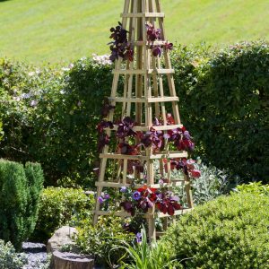 Zest4Leisure Snowdon Obelisk