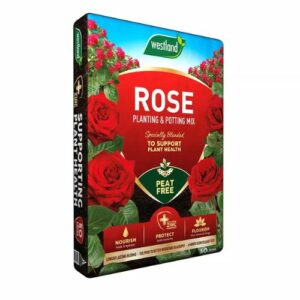 Bag of rose planting compost on a plain background