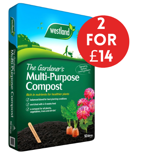 Westland The Gardener’s Multi-Purpose Compost