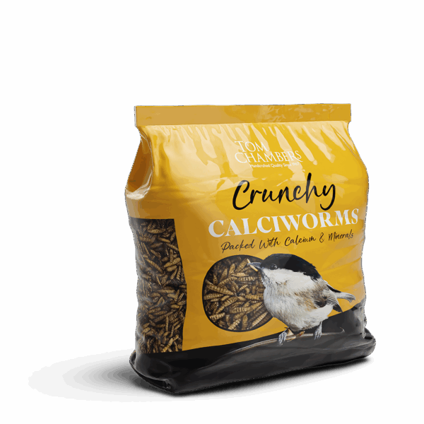 Tom Chambers Crunchy Calciworms 500g